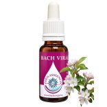 Bach virágterápia-Vadalma ( 10. Crab Apple) Bach virágesszencia 