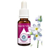 Bach virágterápia -Békaliliom 34. Water Violet Bach virágesszencia