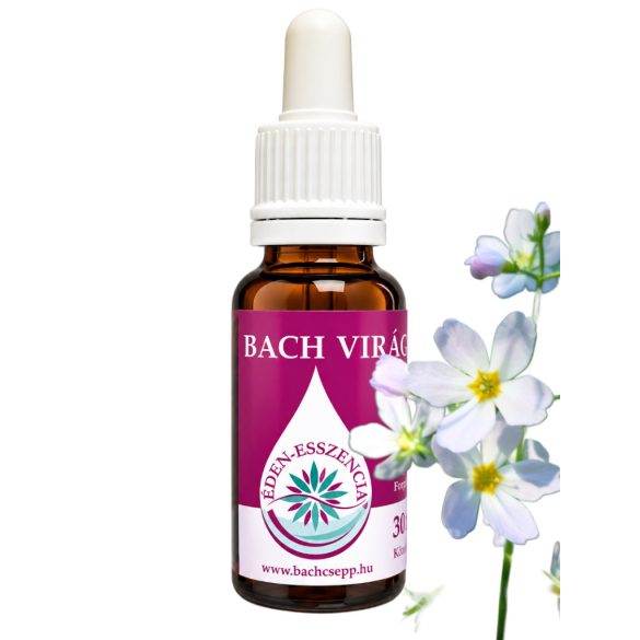 Bach virágterápia -Békaliliom 34. Water Violet Bach virágesszencia