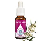 Bach virágterápia - Olajfa 23. Olive Bach virágesszencia