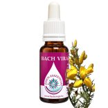 Bach virágterápia - Sülzanót (13. Gorse) Bach virágesszencia 