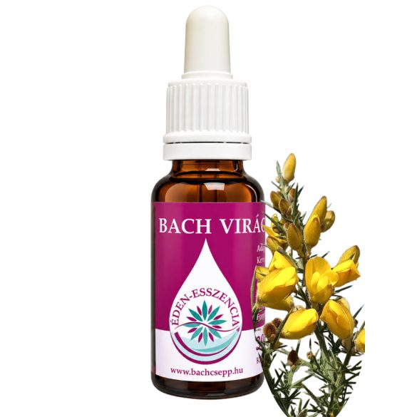 Bach virágterápia - Sülzanót (13. Gorse) Bach virágesszencia 