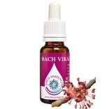 Bach virágterápia -Szilfa ( 11. Elm ) Bach virágesszencia 