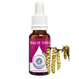 Bach virágterápia - Gyertyán 17. Hornbean Bach virágesszencia 