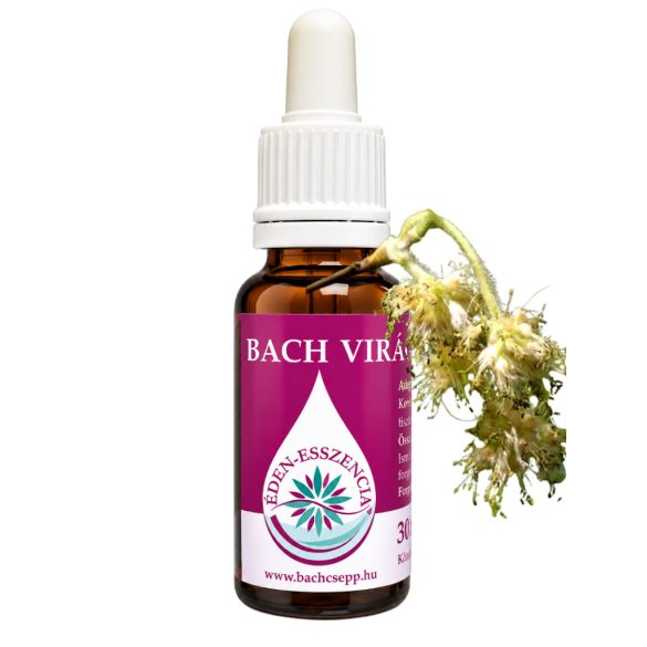 Bach virágterápia-Bükkfa 3.Beech virágesszencia