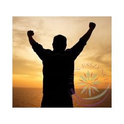 Nap csepp- Éden virágesszencia keverék 