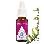 Bach virágterápia - Fűzfa 38. Willow Bach virágesszencia 