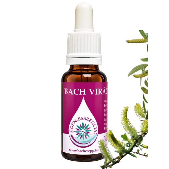 Bach virágterápia - Fűzfa 38. Willow Bach virágesszencia 