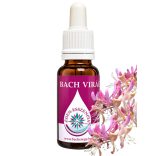 Bach virágterápia-Jerikó lonc ( 16. Honeysuckle ) Bach virágesszencia 