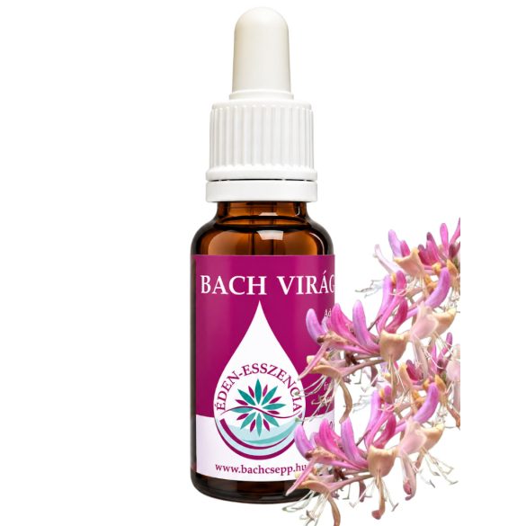Bach virágterápia-Jerikó lonc ( 16. Honeysuckle ) Bach virágesszencia 