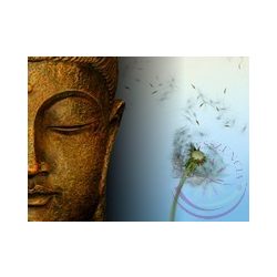 Buddha csepp- Éden virágesszencia keverék 
