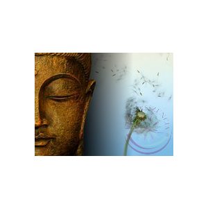 Buddha csepp- Éden virágesszencia keverék 
