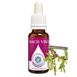Bach virágterápia - Tölgy 22. Oak Bach virágesszencia 