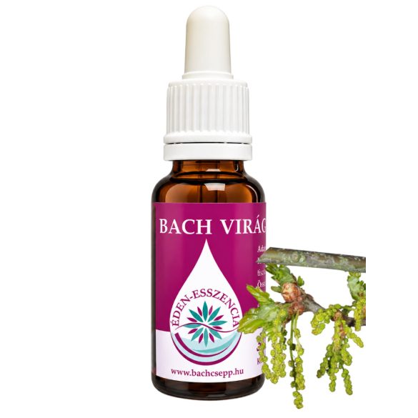 Bach virágterápia - Tölgy 22. Oak Bach virágesszencia 