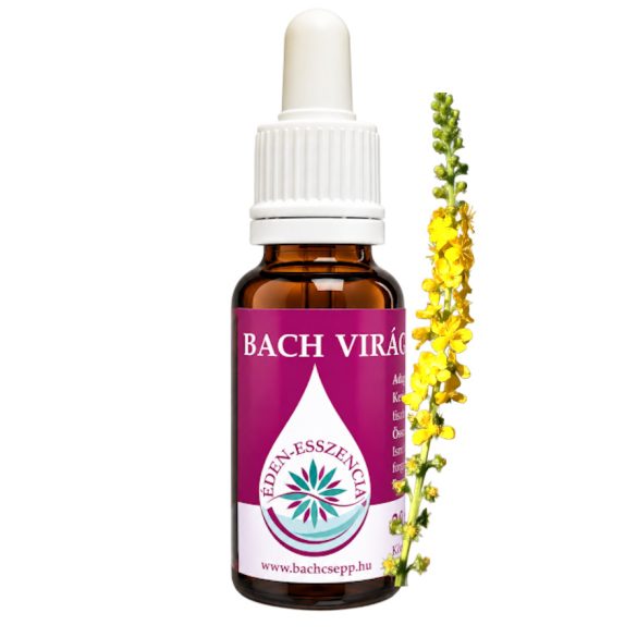 Bach virágterápia-Apróbojtorján 1.Agrimony virágeszencia 