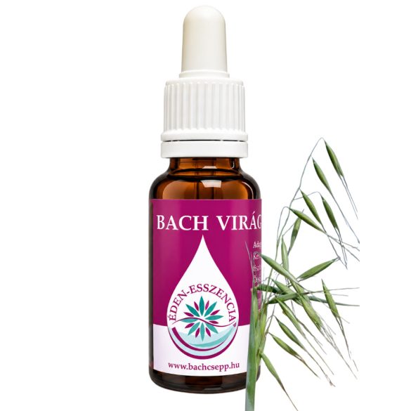 Bach virágterápia - Rozsnok 36. Wild Oat Bach virágesszencia 