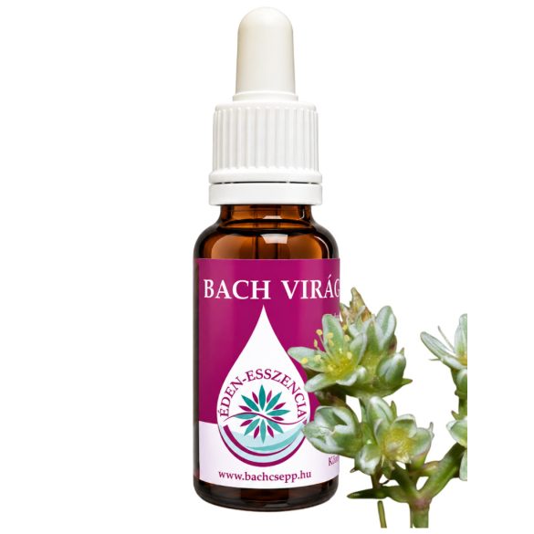 Bach virágterápia - Szikárka 28. Scleranthus Bach virágesszencia