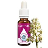 Bach virágterápia - Fehér vadgesztenye 35. White Chestnut Bach virágesszencia 