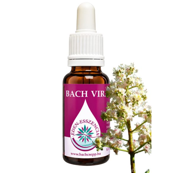 Bach virágterápia - Fehér vadgesztenye 35. White Chestnut Bach virágesszencia 