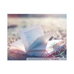 IQ csepp - Éden virágesszencia keverék 