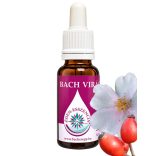 Bach virágterápia-Vadrózsa (37.Wild rose) Bach virágesszencia