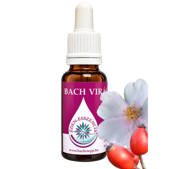 Bach virágterápia-Vadrózsa (37.Wild rose) Bach virágesszencia