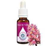 Bach virágterápia - Vörös vadgesztenye 25. Red Chestnut Bach virágesszencia 