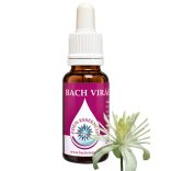 Bach virágterápia -Iszalag(9. Clematis ) Bach virágeszencia 