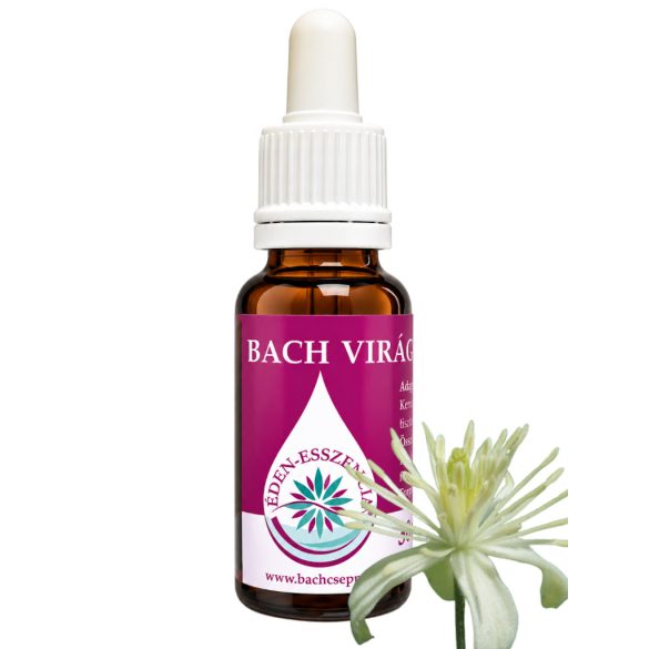 Bach virágterápia -Iszalag(9. Clematis ) Bach virágeszencia 