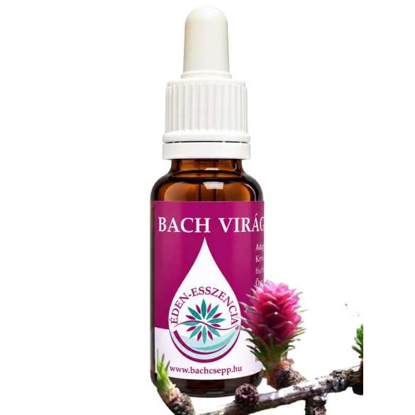 Bach virágterápia Vörösfenyő 19. Larch Bach virágeszencia
