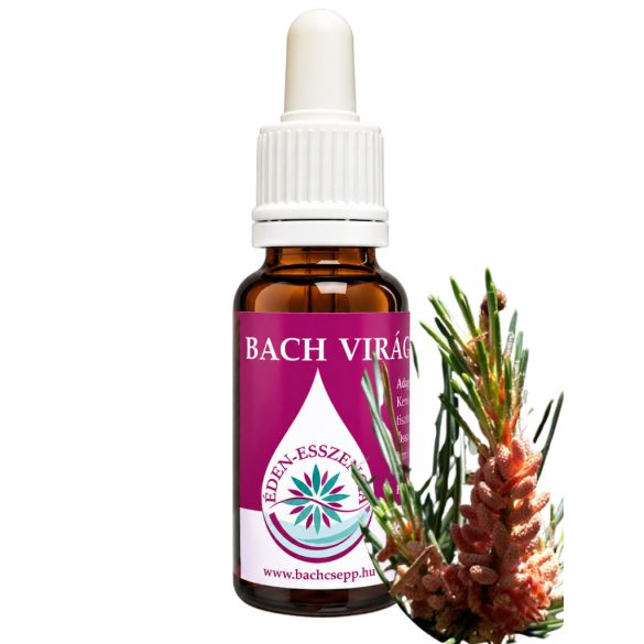Bach virágterápia - Erdeifenyő 24. Pine Bach virágesszencia 