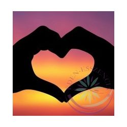 Szívcsepp- Éden virágesszencia keverék 