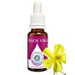 Bach virágterápia - Napvirág 26. Rock Rose Bach virágesszencia